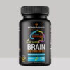 brain armor